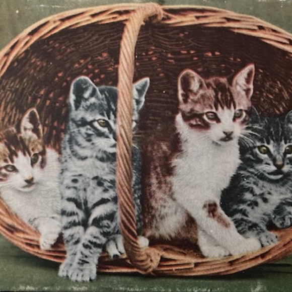 ~Welcome to my Closet~ - Picture 9 of 15